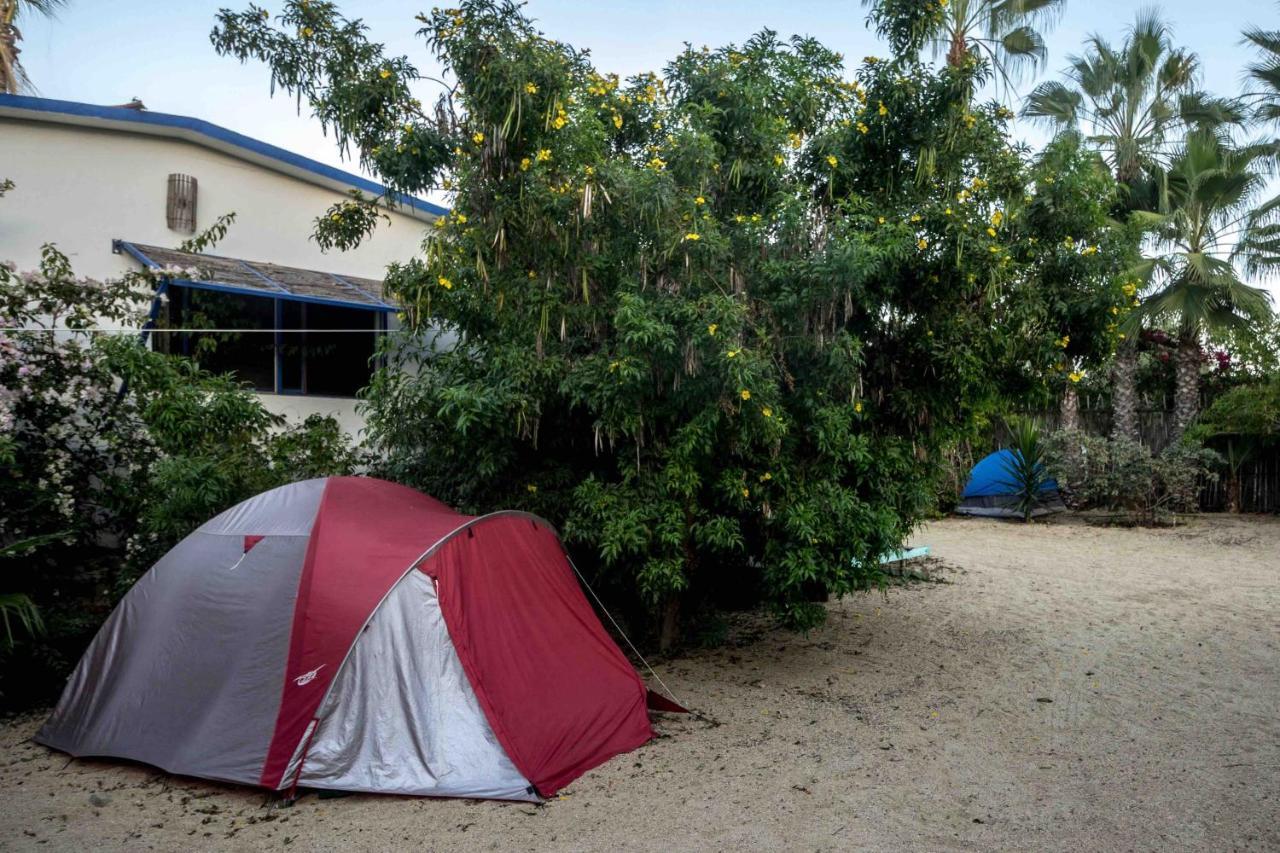 Todos Santos Hostel Super Fast And Stable Satellite Wifi Exterior photo