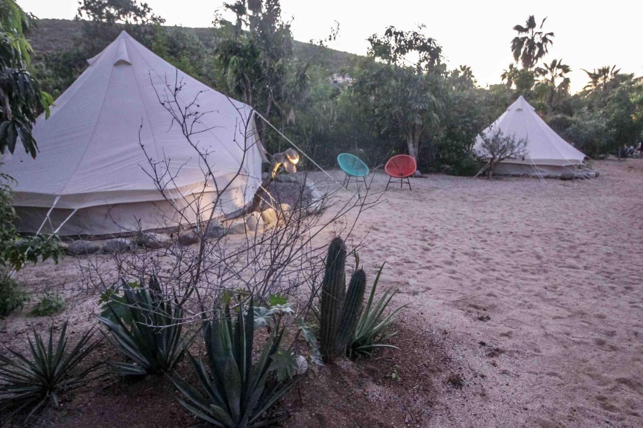 Todos Santos Hostel Super Fast And Stable Satellite Wifi Exterior photo