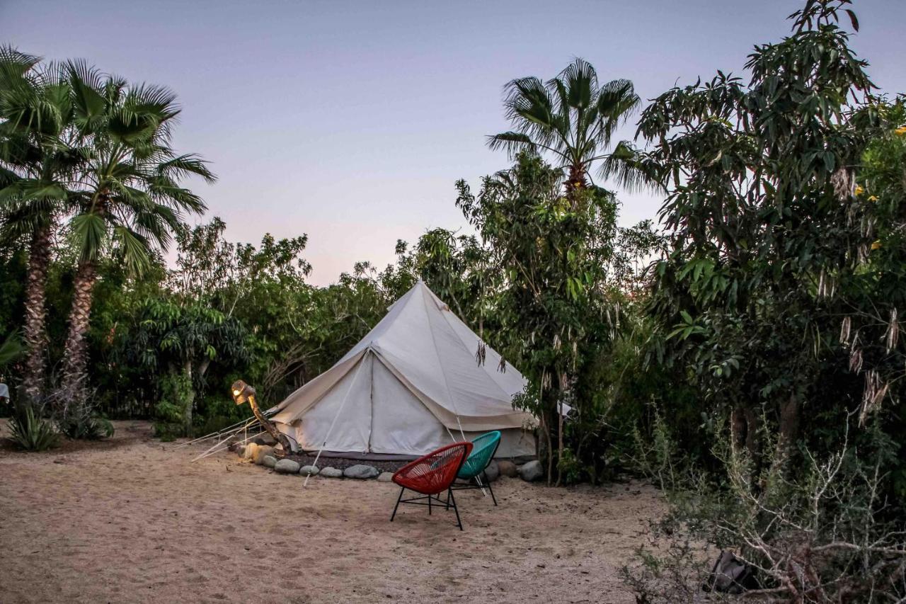 Todos Santos Hostel Super Fast And Stable Satellite Wifi Exterior photo