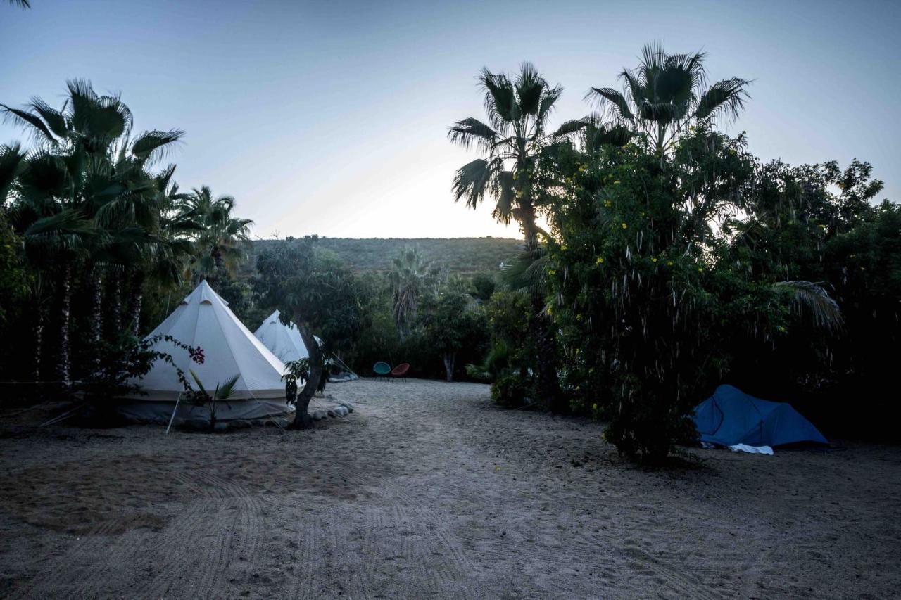 Todos Santos Hostel Super Fast And Stable Satellite Wifi Exterior photo