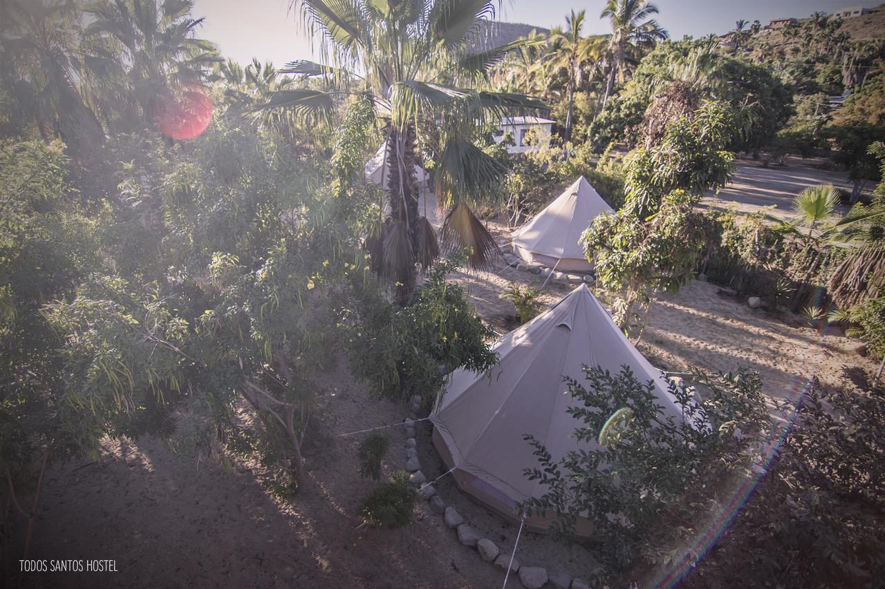 Todos Santos Hostel Super Fast And Stable Satellite Wifi Exterior photo