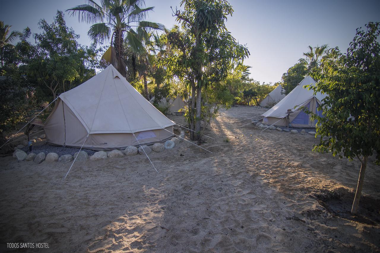 Todos Santos Hostel Super Fast And Stable Satellite Wifi Exterior photo