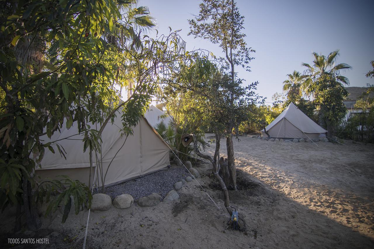 Todos Santos Hostel Super Fast And Stable Satellite Wifi Exterior photo